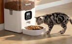 a cat eating from a cat feeder