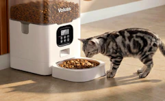 a cat eating from a cat feeder