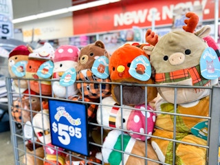 Harvest Squishmallows at Five Below
