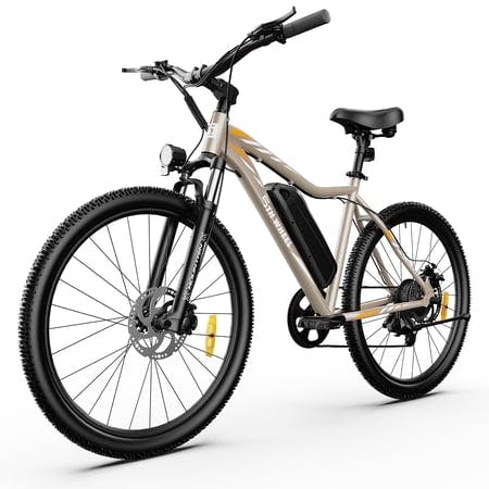 Electric Bike