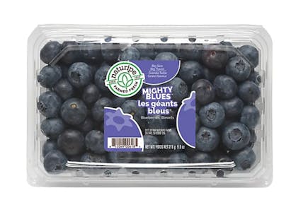 Jumbo Blueberries