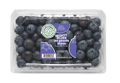 Jumbo Blueberries