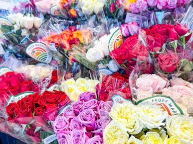 24-Stem Roses