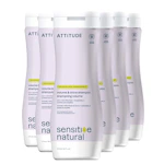 Hair Shampoo 6-Pack