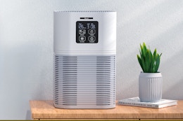VEWIOR Air Purifiers for Home sitting on an end table next to a plant.