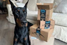 amazon-pet-deals-9