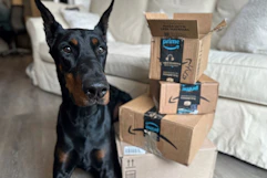 amazon-pet-deals-9