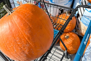 pumpkins from albertsons