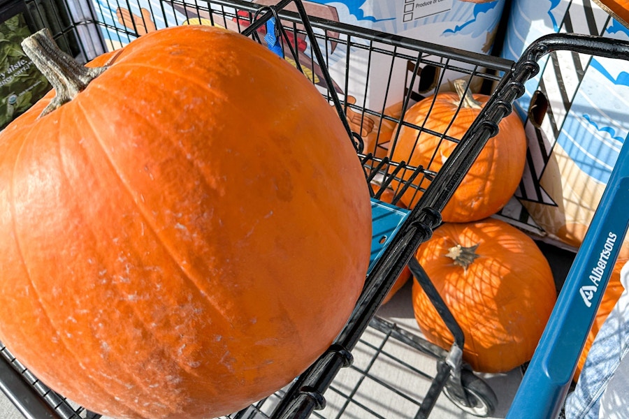 pumpkins from albertsons