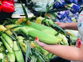 corn on the cob