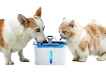 Pet Water Fountain