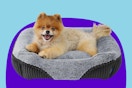 Bedsure Washable Dog Bed Small Dog＆Cat- Rectangle Fluffy Plush 