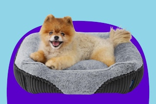 Bedsure Washable Dog Bed Small Dog＆Cat- Rectangle Fluffy Plush 