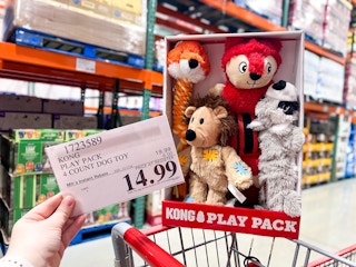 costco Kong Play Pack Dog Toys 4-pack