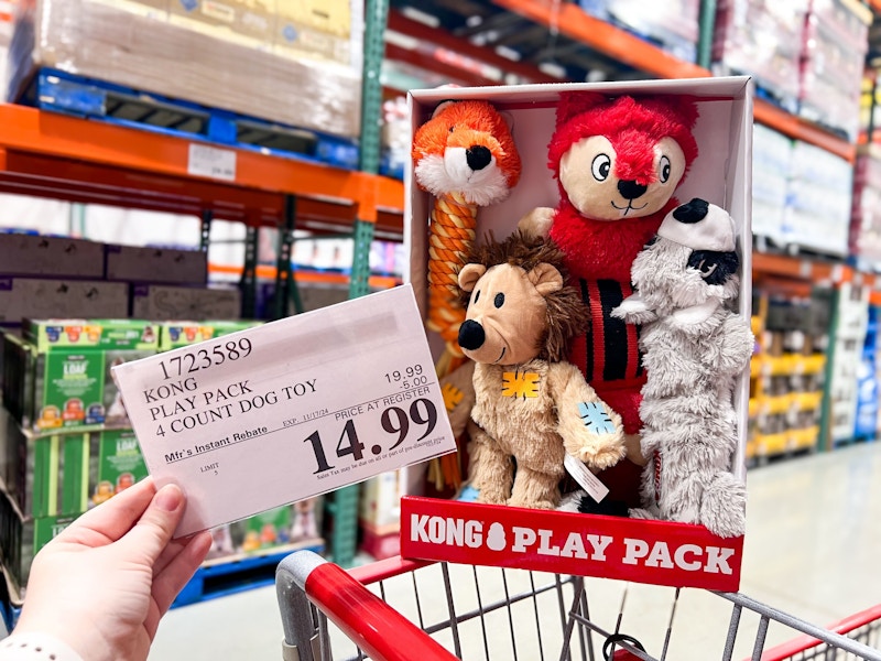 costco Kong Play Pack Dog Toys 4-pack