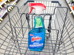 windex cleaner in walgreens cart