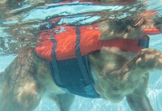 amazon outward hound jacket 2023 1 1683027712 1683027712