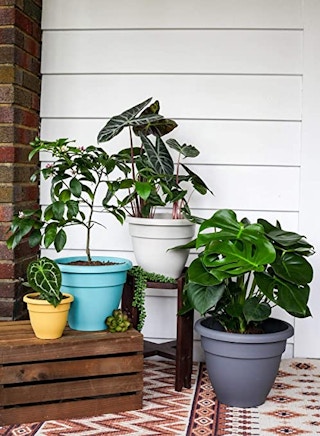 planter-pot-amazon