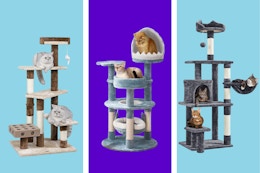 Cat Trees Start at $30 at Chewy With $20 Gift Card for New Customers card image