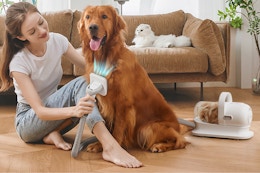 Top-Rated $180 Pro Pet Grooming Kit, Down to $90 for Amazon Pet Day card image