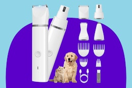 Pet Grooming Kit
