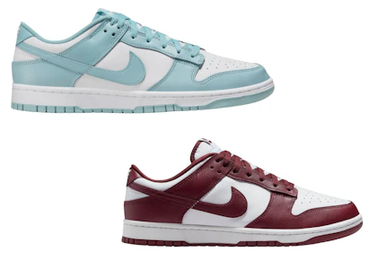 Nike Adult Dunk Shoes