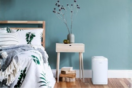 Home Air Purifier B0CHLBDHQY