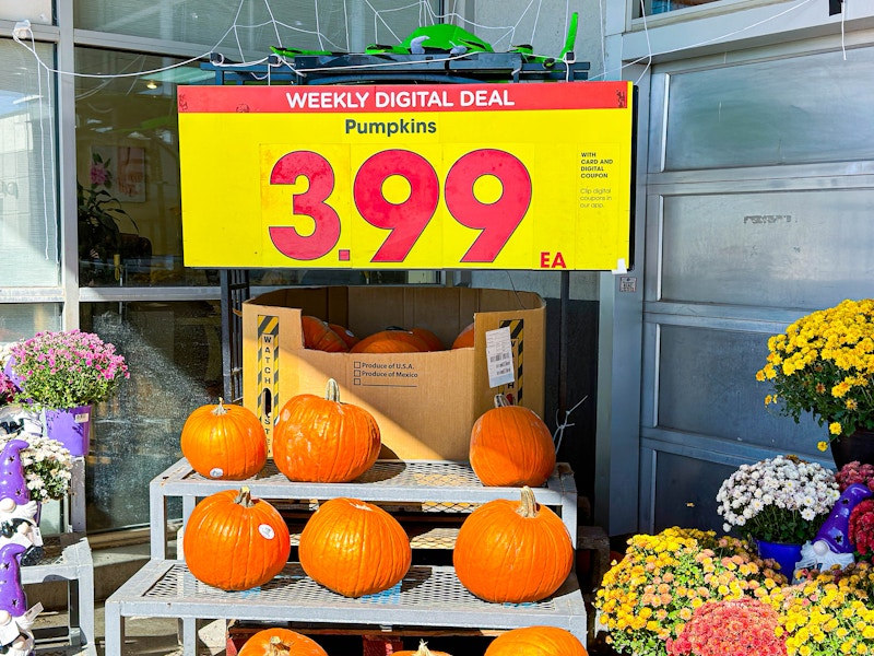 kroger-pumpkins-prices-kcl-2