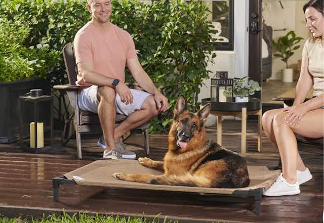 Elevated Dog Bed Clearance: Starting at Only $18 at Walmart card image