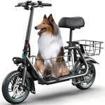 Electric Scooter with Seat
