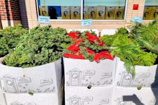 trader-joes-live-greenery-1