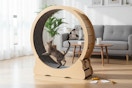 aliexpress-cat-wooden-exercise-wheel-1