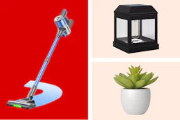 stick vacuum, black outdoor lighting, artificial plant