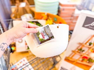 aldi-home-and-garden-deals-hanging-planter