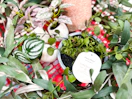 Target Threshold faux plants