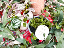 Target Threshold faux plants