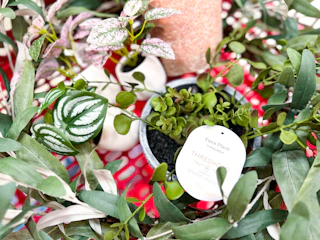 Target Threshold faux plants