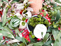 Target Threshold faux plants