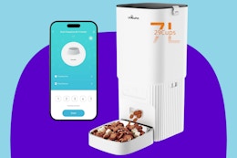 Automatic Cat Feeder