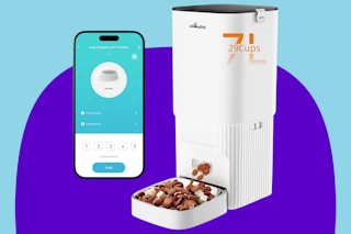 Automatic Cat Feeder