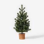 Threshold Studio McGee Tree