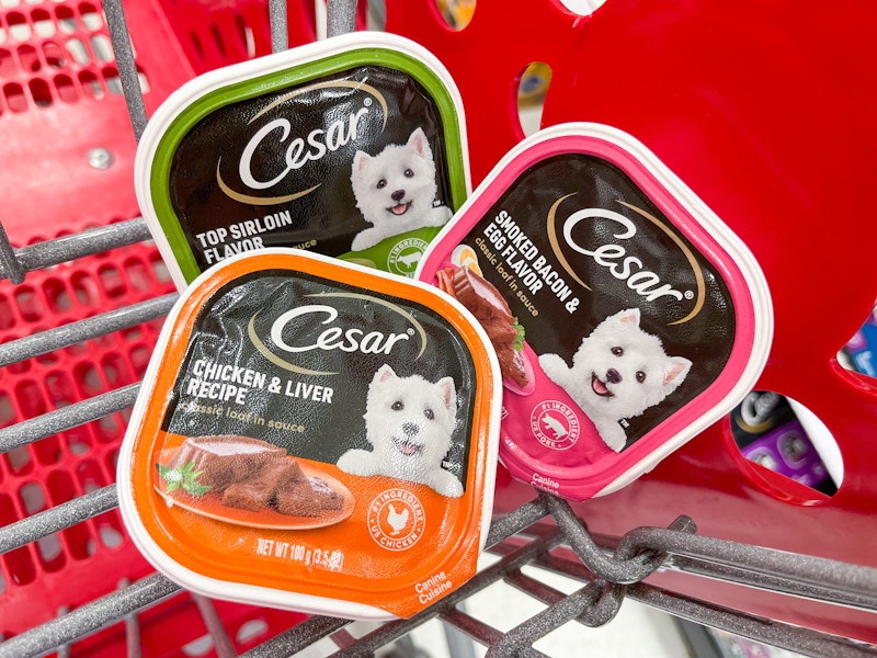cesar-wet-dog-food-target6