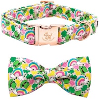 Dog Collar with Bowtie