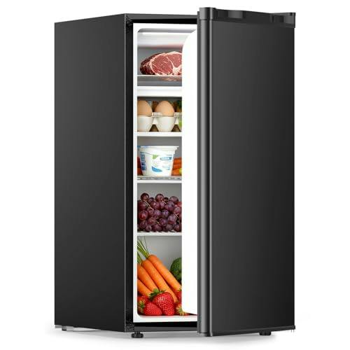 Mini Fridge with Freezer