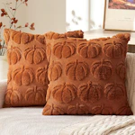 Fall Pillow Covers