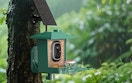 a bird feeder on a tree in the rain