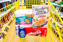 dollar general groceries in yellow shopping cart