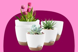 Set of 5 Self-Watering Planters, Just $16.99 at Walmart card image
