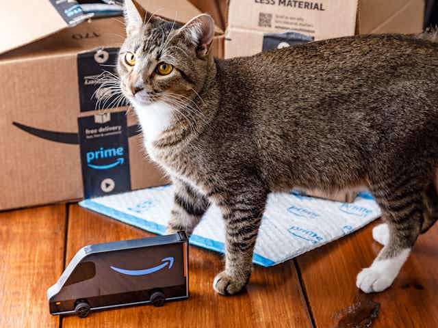The Best Amazon Pet Day Deals To Look For in 2025 card image