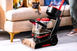 Lifestyle image of the Dirt Devil carpet cleaner being used to clean up a carpet near a couch with a dog